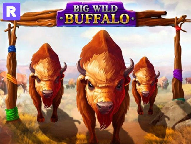 big wild buffalo slot machine online