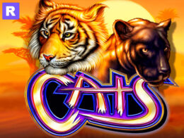 cats slot free demo game