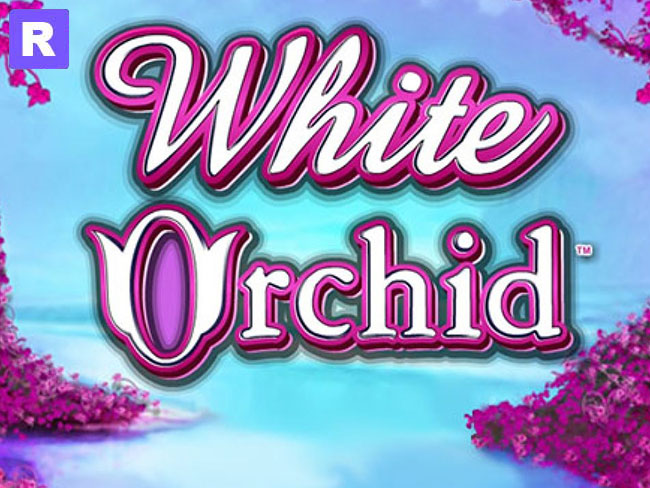 white orchid slot machine free
